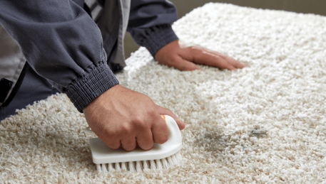 Professional Rug Cleaning Balnarring